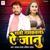 Gali Gamkwala A Jaanu - Single