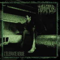 L'elefante verde - Single - John Faser