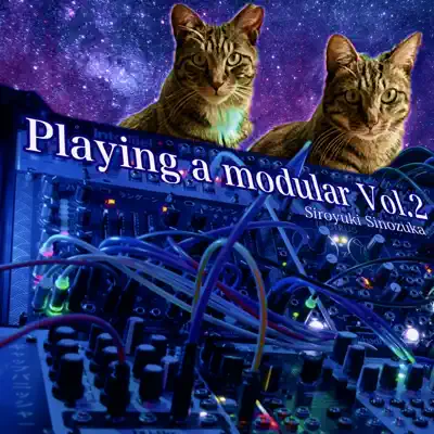 Siroyuki Sinozukaの「Playing a Modular Vol.2」を聴こう。