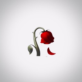 Carrément Love Robix