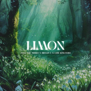 Limon - Single