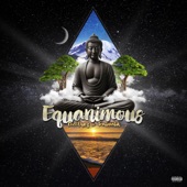 Equanimous artwork