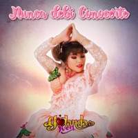 Yolanda Ivon - Nunca debí conocerte