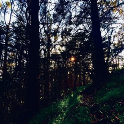 Show Me (feat. Wheressk) - Single