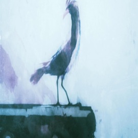 Do I watch too much sci-fi? egrets