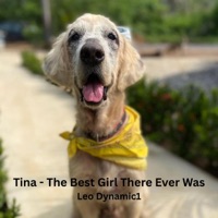 Tina The Best Girl There Ever Was - Single - Leo Dynamic1