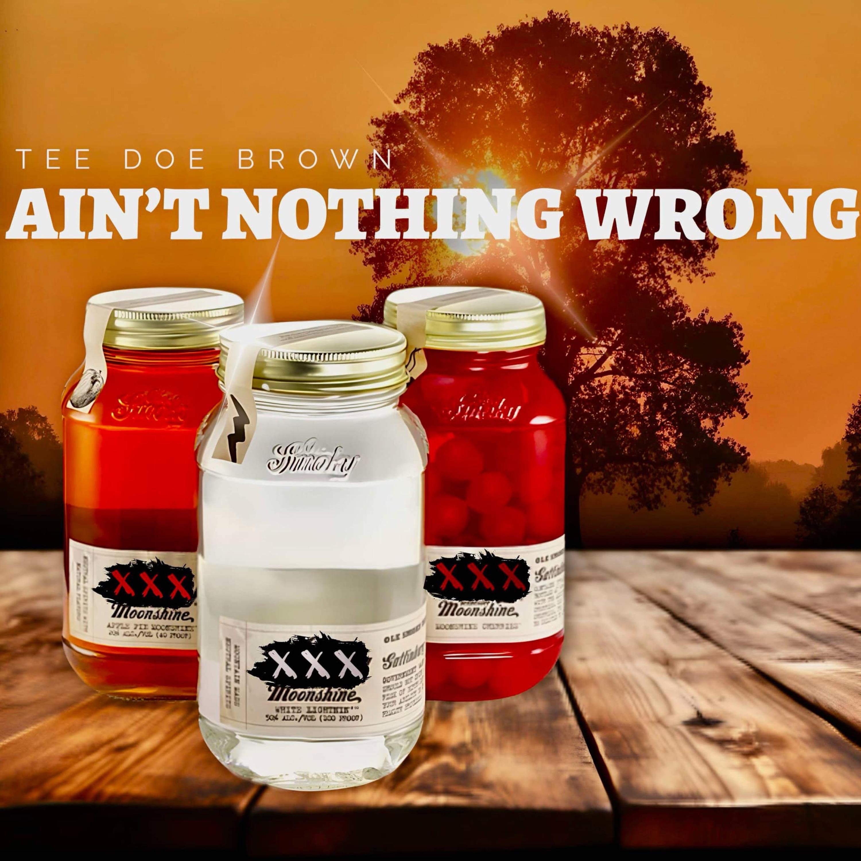 Aint Nothing Wrong - Single