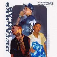 Detalhes Delas - Single - MC Pedrin HG, Do N & Brenninho VJ
