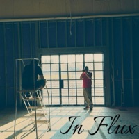 In Flux (feat. Blunted Beatz) - Single - STEAZE