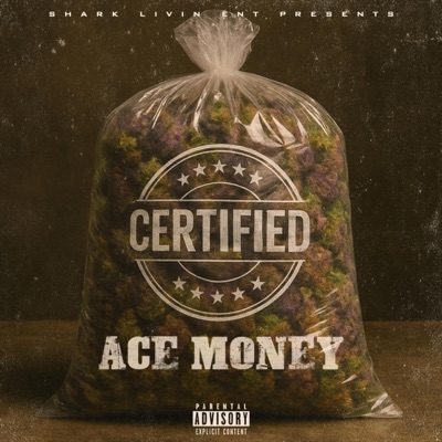 CERTIFIED (feat. Ace Money) - Single