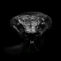 Заманила заплела - Single - LAUR