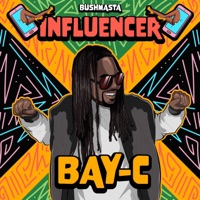 Influencer - Single - Bushmasta & BAY-C