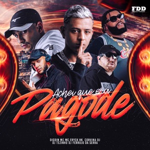 Achei Que Era Pagode (feat. MC ERYCK HK, DJ Tezinho & DJ Ferrujo da Serra)
