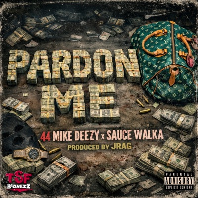 Pardon Me - Single