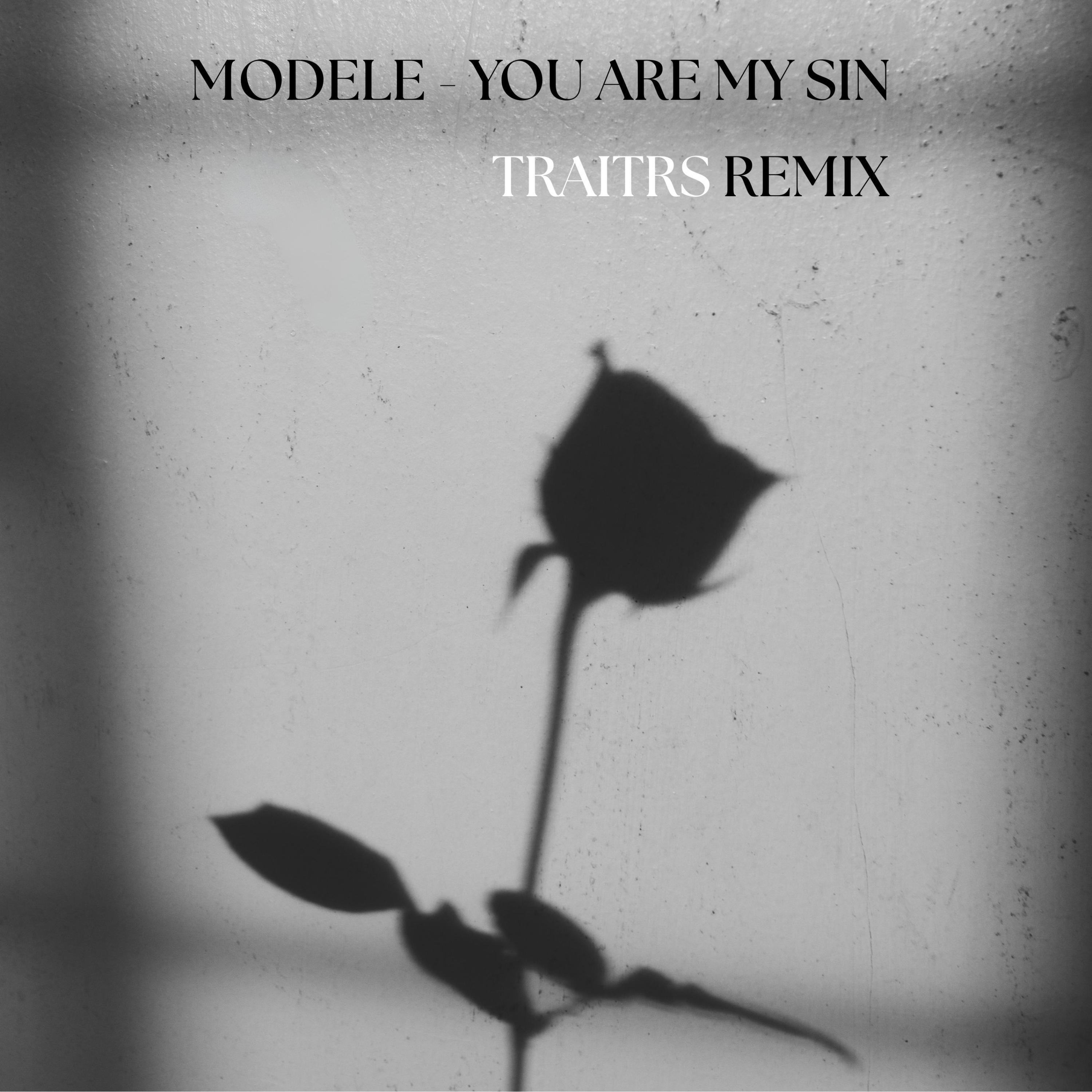 You Are My Sin (Traitrs Remix) - Single
