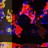 Daphne - Single - Neoxlime