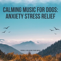Calming Music For Dogs: Anxiety Stress Relief - Derrol & Relaxing Piano Music