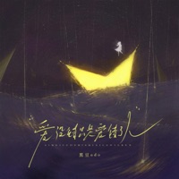 爱没错只是爱错了人 - Single - 黑豆ado