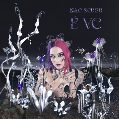 Não Sou Eu, É Vc - EP