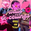 walls & ceilings