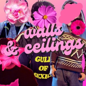 walls & ceilings - Single