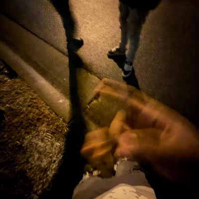 Bitch (feat. leewitdaburnerr) - Single