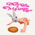 Beat Bunny