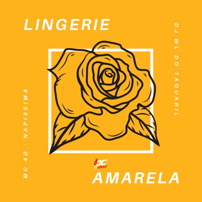 Lingerie Amarela - Single