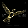 Blasterjaxx & Timmy Trumpet - Time To Say Goodbye Grafik