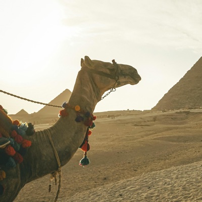 ألا كل ماشية الخيزلى