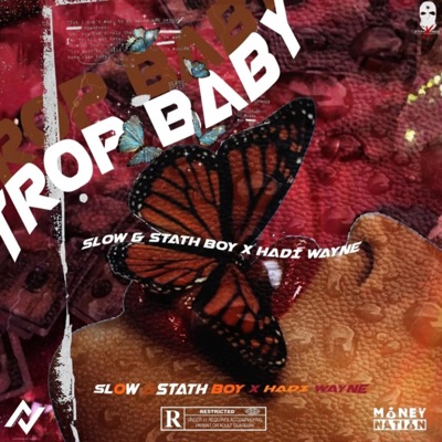 Trop Baby (feat. Shoupouboubou & Hadi Wayne) - Single