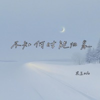 不知何时能归家 - Single - 黑豆ado