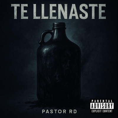 Te Llenaste - Single