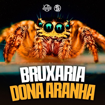 Bruxaria Dona Aranha - Single