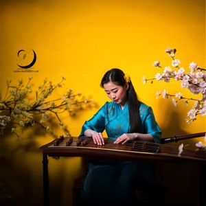 Guzheng Místico