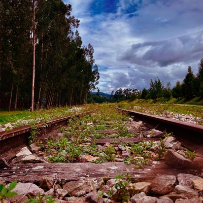 OASIS DE AMOR - Single