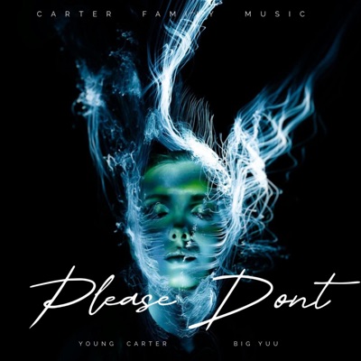 Please Don't (feat. Big Yuu) - Single