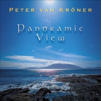 Panoramic View