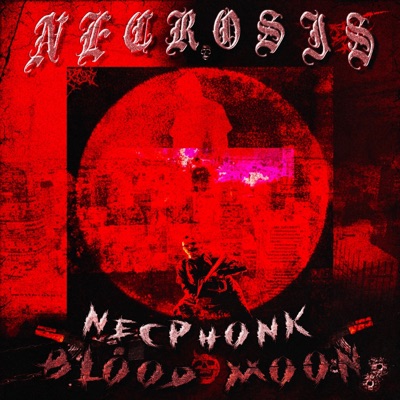 NECPH0NKBL00DM00N - Single