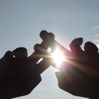 Feral - Single - Brody