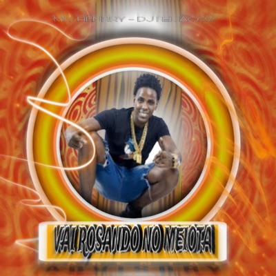Vai Rosando no Meiota (feat. Mc Henrry) - Single