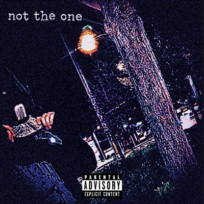 not the one - Single