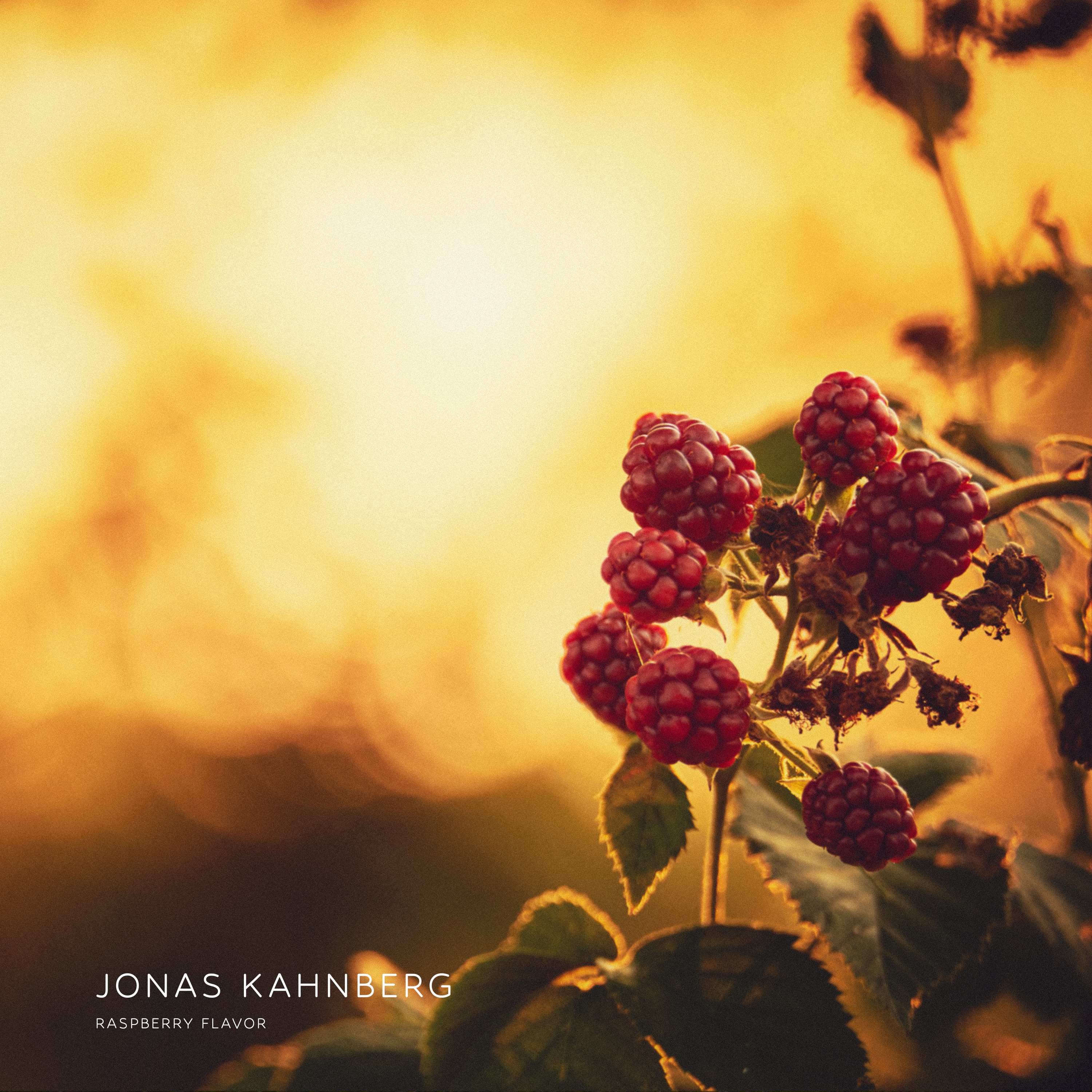 Raspberry Flavor - Single