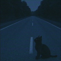 level 3 - Single - Radiance