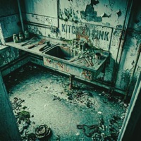 Kitch'n Sink - Single - Mic Wise