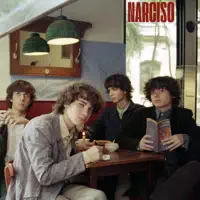 Vidrios Rotos — Narciso
