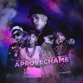 Aprovéchame (Remix) artwork