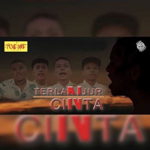 Terlanjur Cinta Album Art