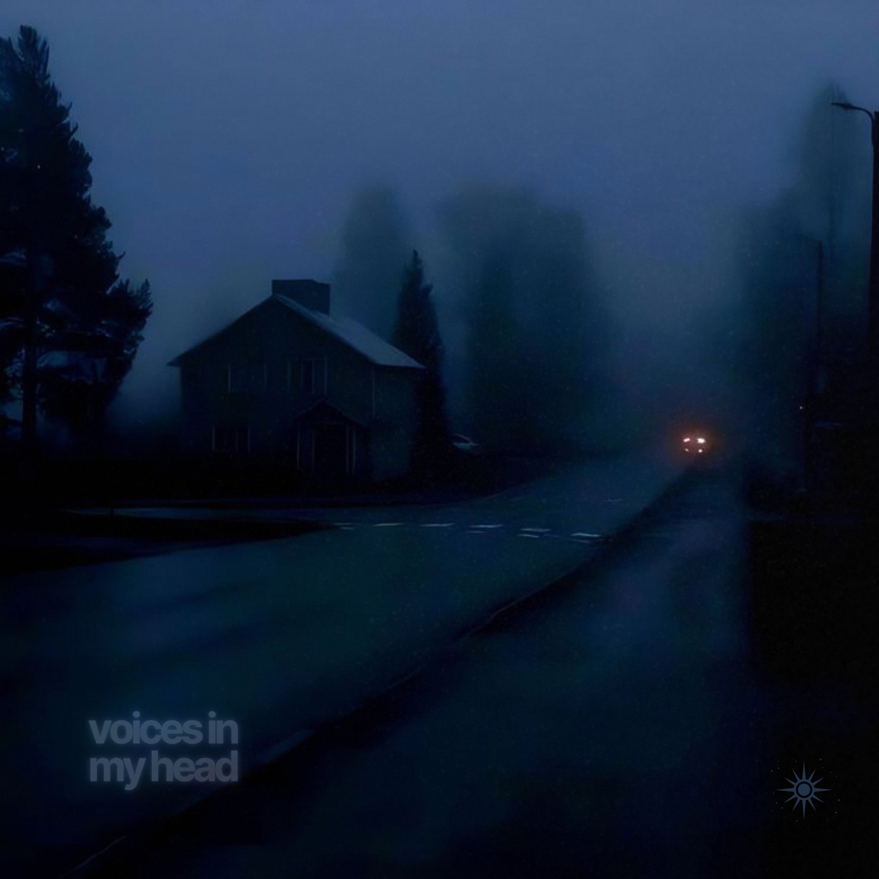 voices in my head - Single