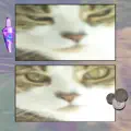 eyedrops
